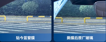 6aa763c907564.png