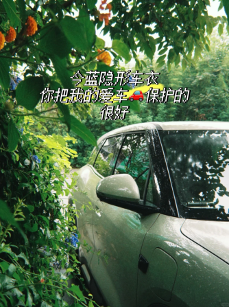 6ab5eb84450cc.png